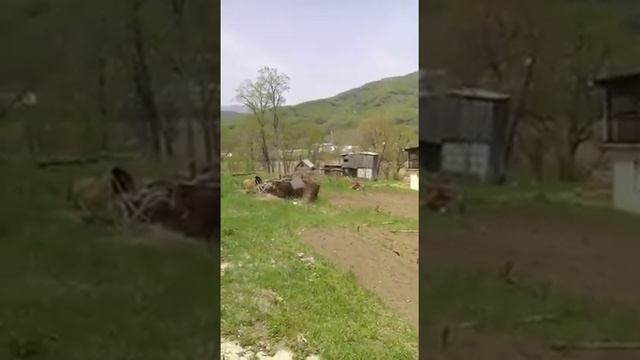 Как пашет мотоблок "Hyundai" смотреть онлайн