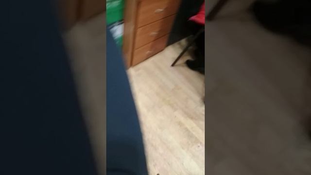 МИНСК МАГАЗИН КОПЕЕЧКА(ДОБРОНОМ),КИДАЮТ НА ЗП смотреть онлайн
