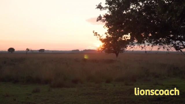 Dr.Joe Dispenza - Abundance Meditation #abundance #joedispenza #meditation
