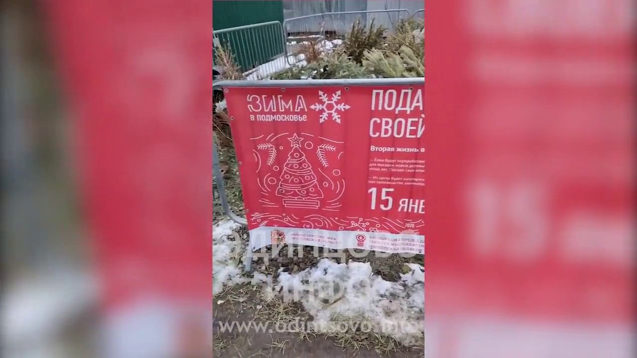 Подари елке вторую жизнь. Одинцово смотреть онлайн