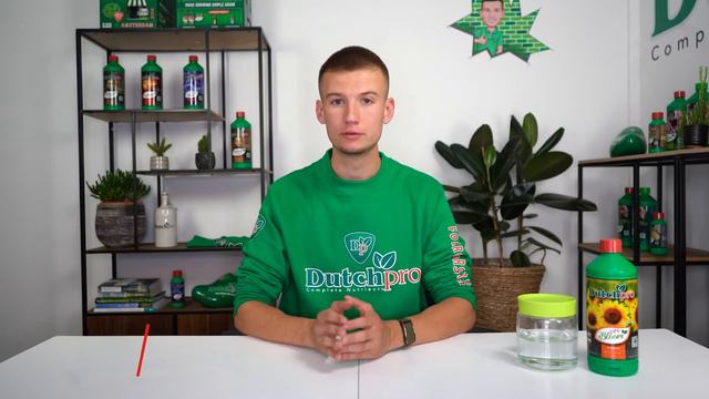 pH- Bloom : How it works смотреть онлайн