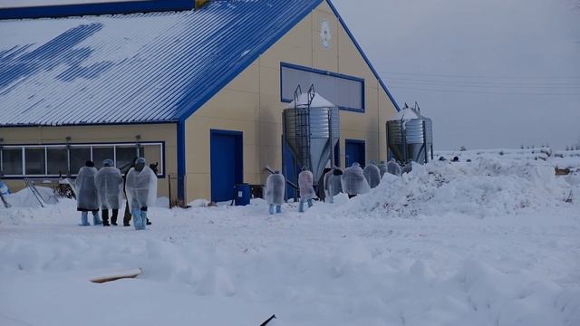 Такие агрофирмы на вес золота и в регионе, и в стране смотреть онлайн