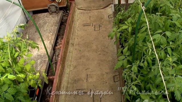 НА МАЙСКОЙ ДАЧЕ. Рассада готова к посадке. смотреть онлайн