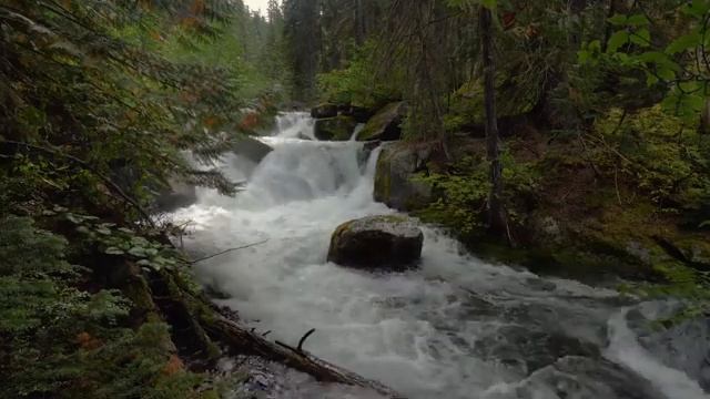 #relaxingsounds #relaxing Звуки природы, пение птиц,  для релаксации, сна, Медитации, Relax 10 часо