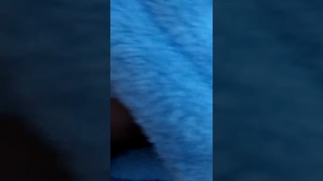 Wir machen eine Spaziergang mit Kinderwagen Deutsch смотреть онлайн