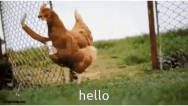 Кококо привет смотреть онлайн