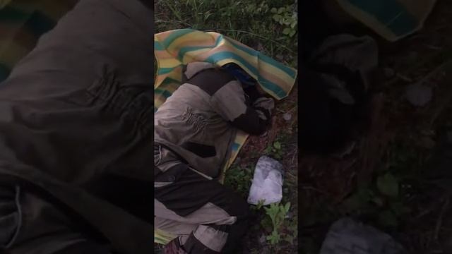 Разница между рыбаками Питерскими и Карельскими ? | Случай на рыбалке с ночевкой, кто круче