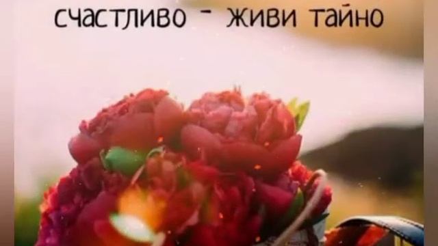 19 декабря 2020 г. смотреть онлайн