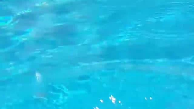 VlOG: на море | Луна парк | Пена пати