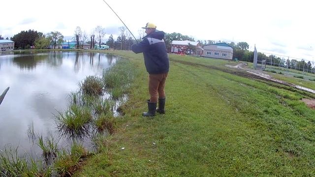 КАРП ЗЕРКАЛЬНЫЙ И ЧИШУЙКА МАТОВ МНОГО УБЕРАЙТЕ ДЕТЕЙ смотреть онлайн