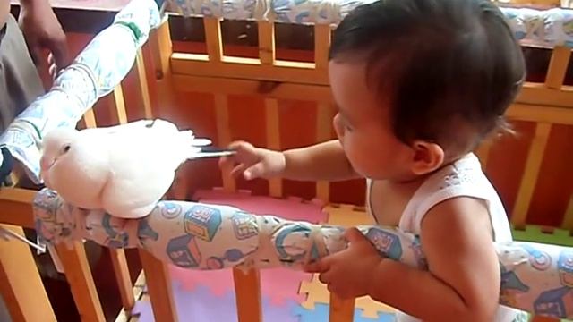 xy excel john videos bonding ni xy s kalapti hhahahah смотреть онлайн