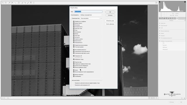 Урок фотошопа по черно белой фотографии смотреть онлайн