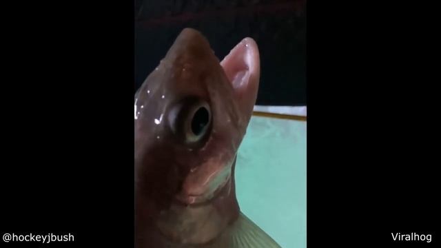 wake up f1lthy 2 смотреть онлайн