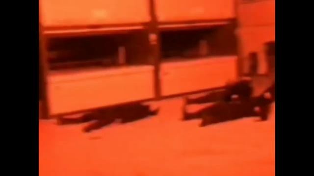 ÇUKUR 4 SEZON 15 BOLÜM KAMERA ARKASI