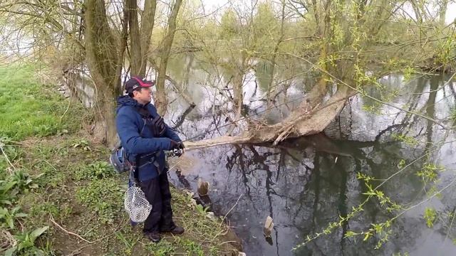 Форель из реки Ruhr смотреть онлайн