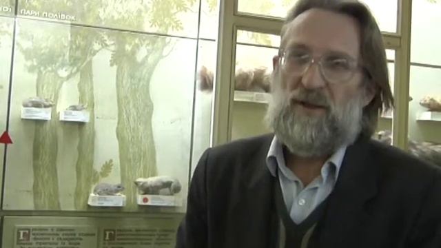 Як тваринки готуються до зими і витримують її смотреть онлайн