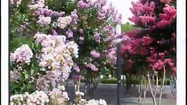 Я попросил у Бога забрать мою гордыню смотреть онлайн