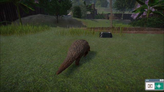 Planet Zoo - Chinese Pangolin Gameplay (PC HD) [1080p60FPS] смотреть онлайн