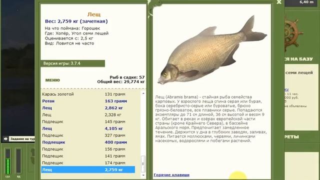 Турнир МК Количество База Хопер Русская рыбалка 3.7.4 смотреть онлайн