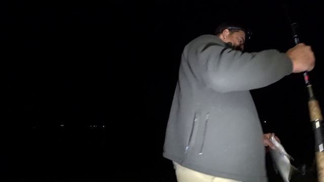 Пробуем ловить леща в Багаевской!!!)))) смотреть онлайн