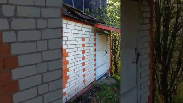 Дача в Чувашии. Обзор нашего участка