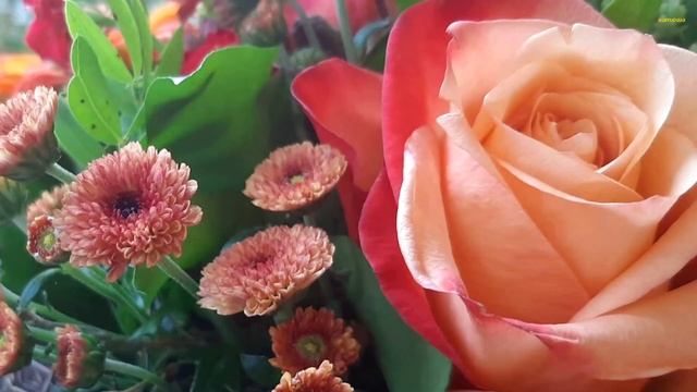 Женщины долго помнят не подаренные розы смотреть онлайн