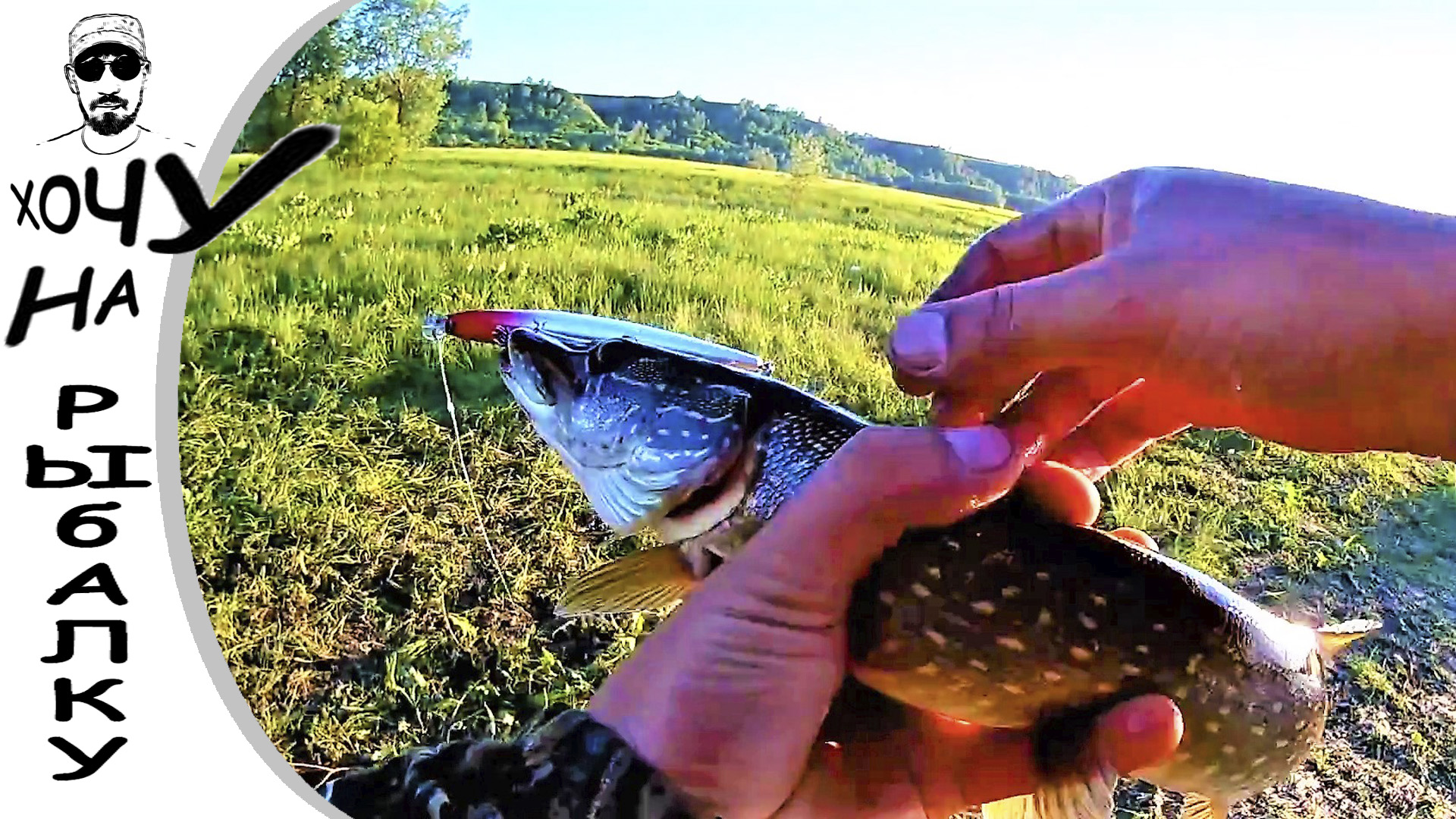 05.06.17 С берега за щукой 3. На спаде воды. Разловил двух китайцев. смотреть онлайн