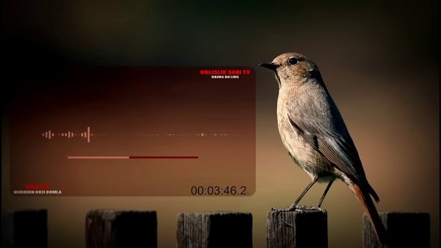 Шайтон нимадан қўрқади! муфтий Нуриддин хожи домла смотреть онлайн