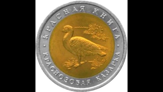 10 рублей Краснозобая казарка 1992 года смотреть онлайн