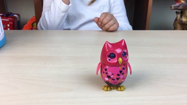 Попугайчик и сова, поют, повторяют слова за вамм смотреть онлайн