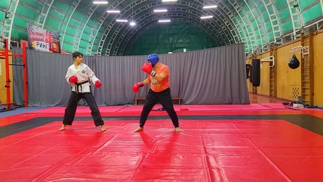 тхэквондо итфс папой по папе смотреть онлайн