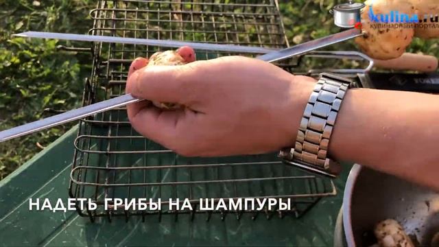 Шашлык из шампиньонов смотреть онлайн
