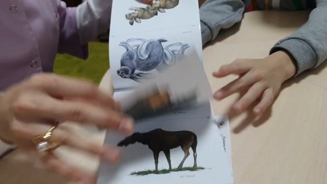 Визитная карточка учителя- дефектолога Аслабековой Амины Саидмагаметовны смотреть онлайн