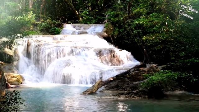 Медитация, которая помогает отпустить все ненужное смотреть онлайн