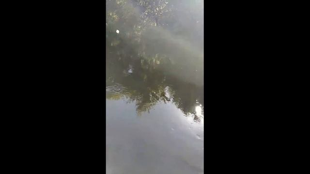 Ловлю голавля в проводку на майского жука смотреть онлайн