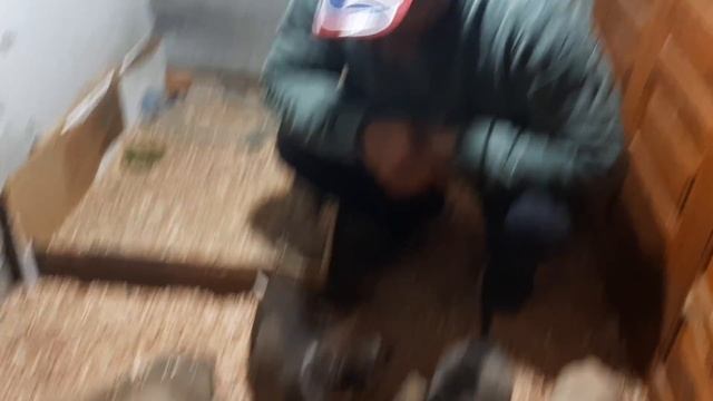 Щенячий патруль напал на еду/Спасённые собаки смотреть онлайн