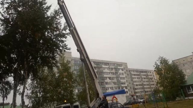 Сургуте спасли кошку. смотреть онлайн