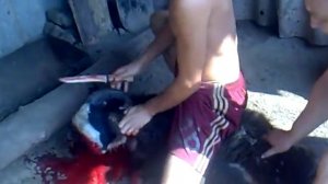 как режут барана