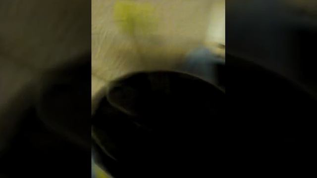 Я выращивают подсолнух. Часть 4 смотреть онлайн