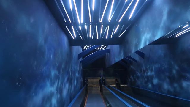 VLOG / В гостях у Ани Тихой / Экскурсия в Тодес Владивосток / Океанариум / смотреть онлайн