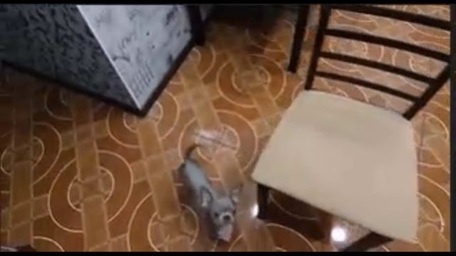 эстафета 2 этап