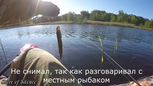 Разведка по щучьему озеру. Вело-водная рыбалка. Рыбалка на спиннинг! смотреть онлайн