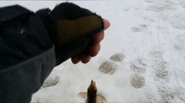 23.02.2022 рыбалка на реке Сить.