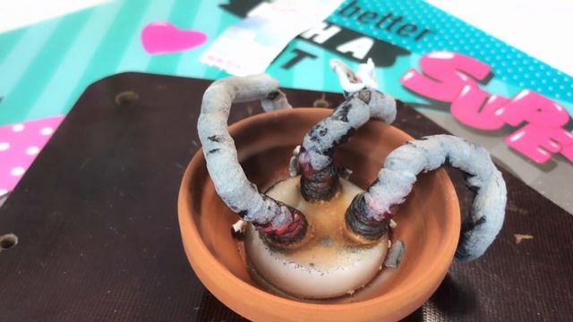 Химия фараонова змея опыт Как сделать вулкан Chemistry смотреть онлайн