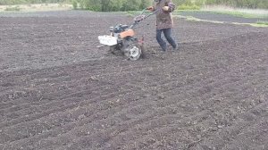 Самодельная борона для мотоблока.Выбираю корни