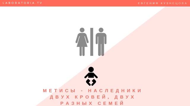 Семейные расстановки. Генокод Рода. Урок 1 смотреть онлайн