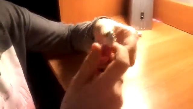 Как сделать чехол для карандаша смотреть онлайн