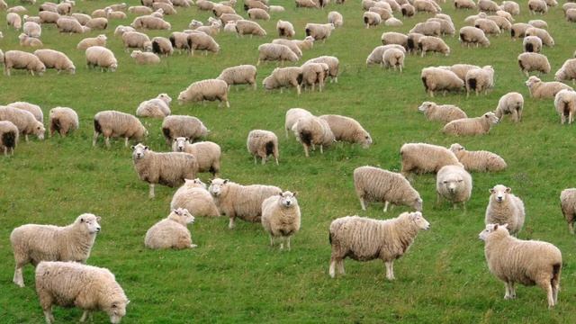 Climate Change Call to Action (Project 3) смотреть онлайн