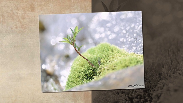 Весна пришла