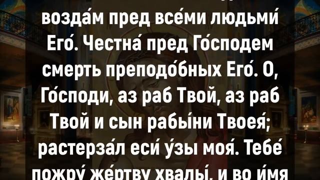 НЕ ЗАБУДЬ СКАЗАТЬ СПАСИБО СВОЕМУ АНГЕЛУ. Вечернее правило слушать онлайн. Вечерн.mp4 смотреть онлайн